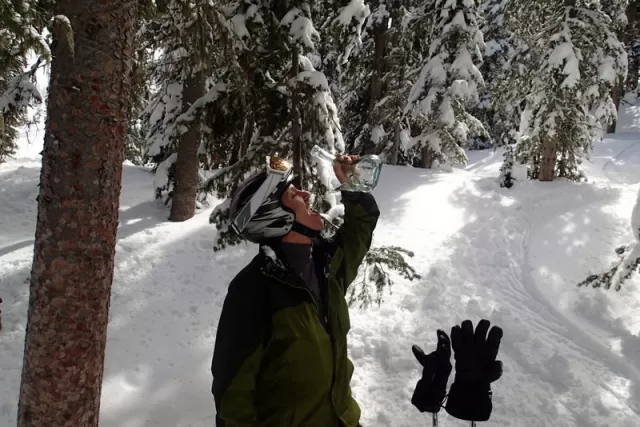 Unraveling the Legend of the Martini Tree: A Skiing Tradition in Taos, New Mexico